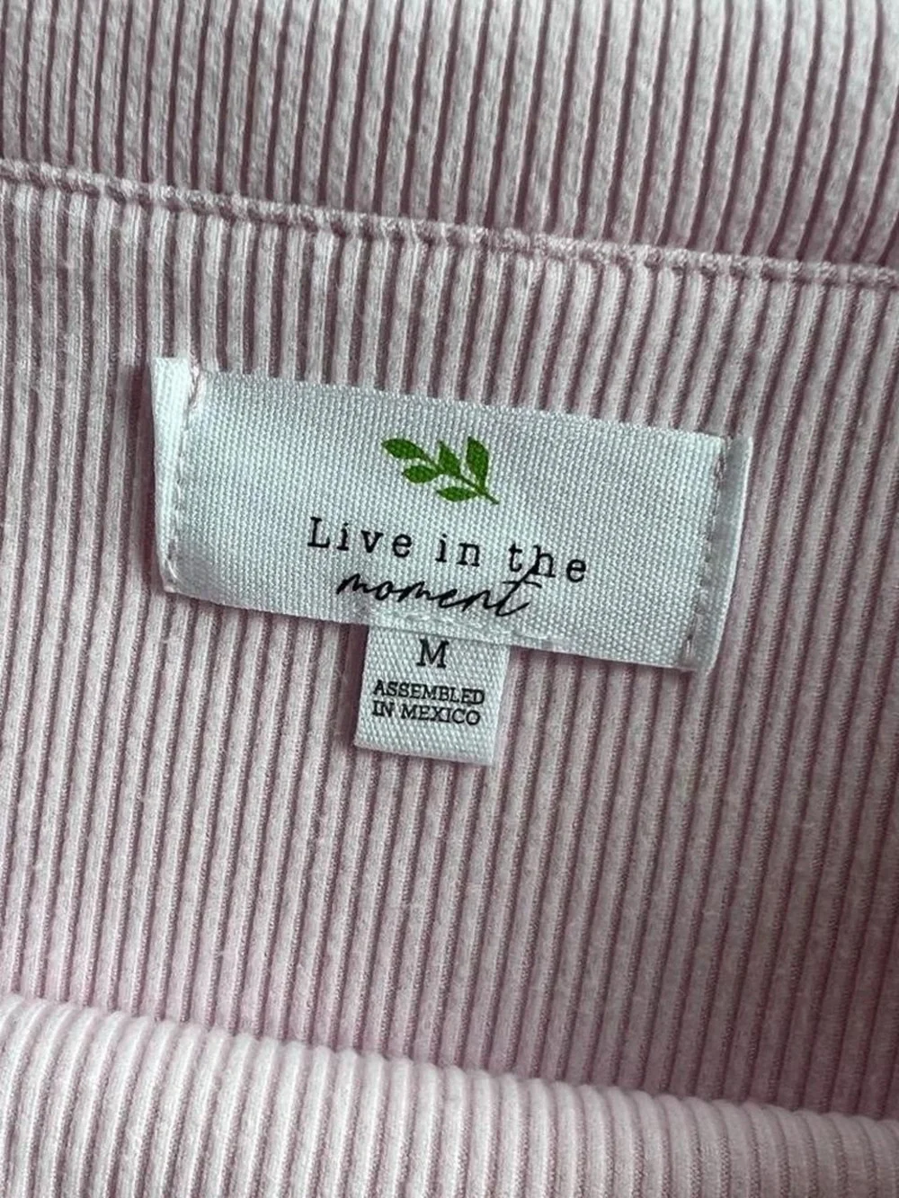 Ribbed One-Piece Bodysuit in Light Pink